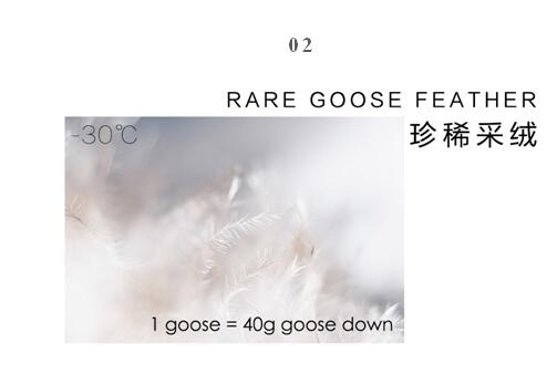 ����Ҽ����m�����q���¾��p��������