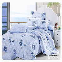 �L(f��ng)�ŵ���(�m)Y-001�{