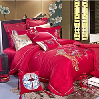 ���B(ni��o)���P