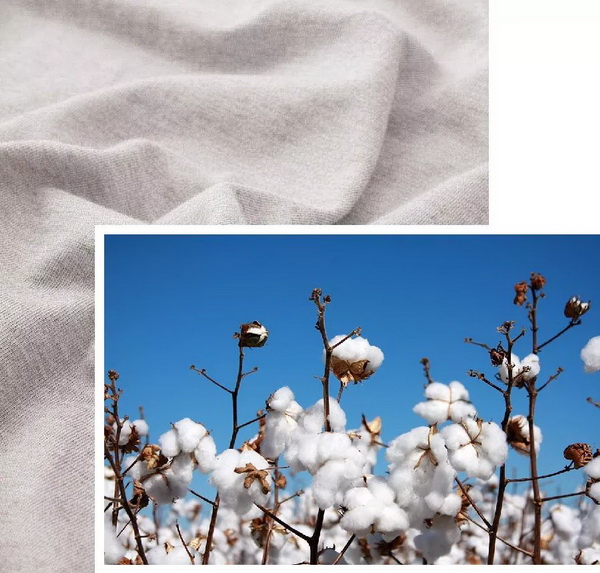 COMOLIVING�Ƴ��~������˯���������ߵ�����ęn