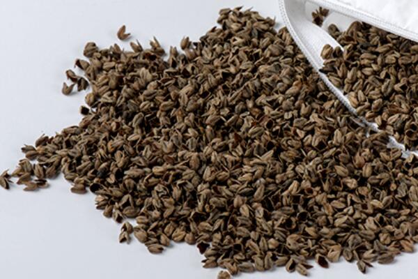 ����(zh��)����Ȼ���������ѻ��Ҽ��ĸ�ɽ���w������s�ߴ����﷦����