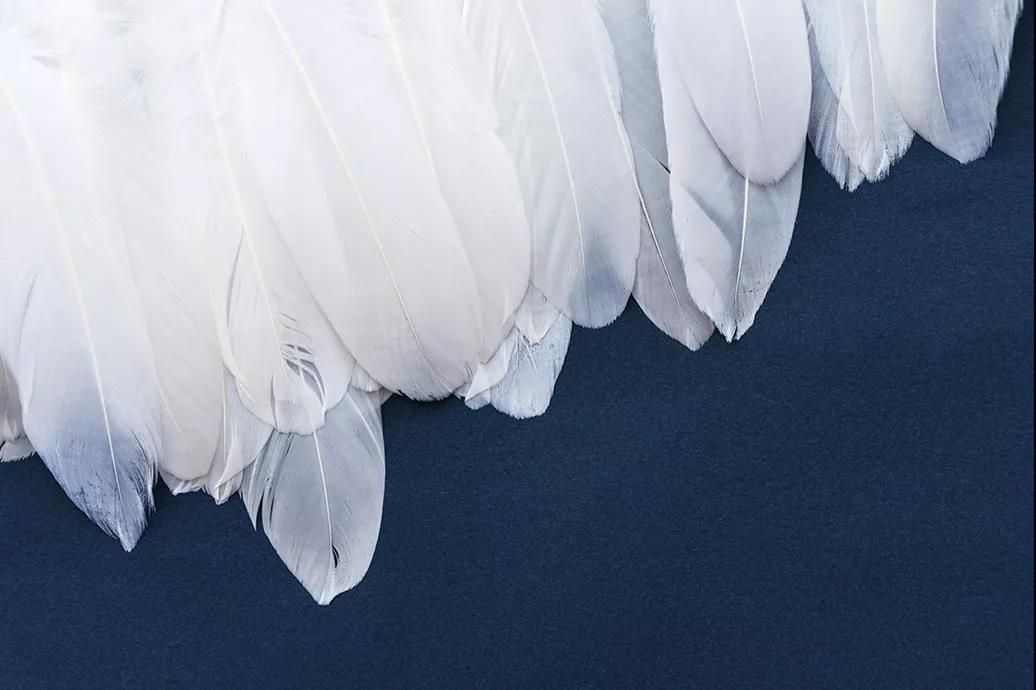 ����Ʒ�Z�q�����˜ʳ��_���쿴�����I(m��i)�ı����_���˛](m��i)��