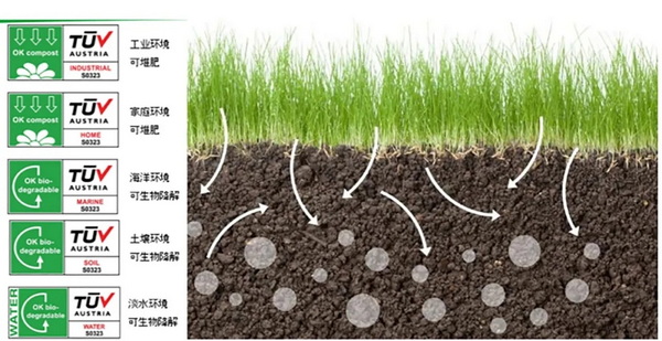 �۽��ɳ��m�l(f��)չ���c(di��n)���ṩ��S��Q�������m�����Є�(d��ng)��