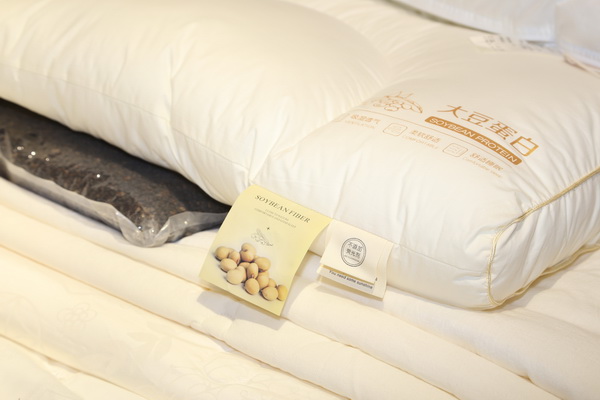 ���������|�����W(xu��)�����칤ˇ�͹żҼ��������u��ӛ����&�����ס�ϵ�аl(f��)����(hu�� )��Cieltown�Ġ�С�2022�ﶬӆ؛��(hu�� )�����u�e��